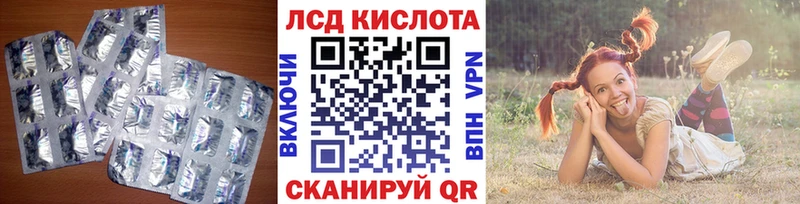 где купить наркотик  Луза  LSD-25 экстази ecstasy 