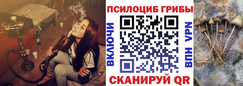 Псилоцибиновые грибы мицелий  Луза 